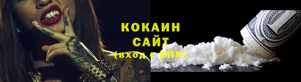 твердый Алексин
