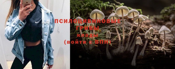 круглые Алексеевка